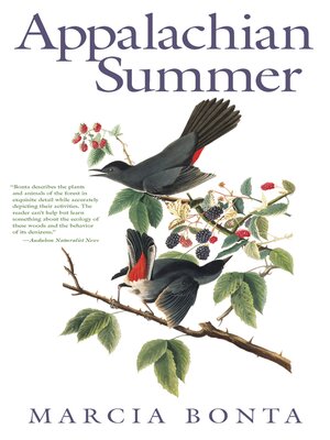 cover image of Appalachian Summer
